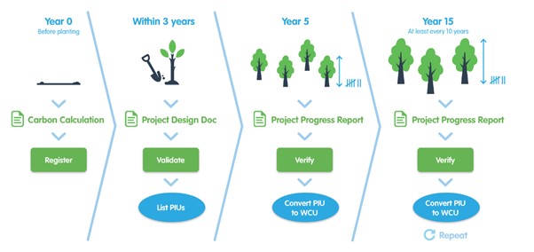 Infographic of woodland carbon code credit cycle
